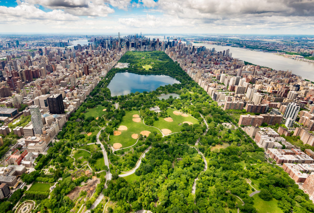 Central-Park-New-York