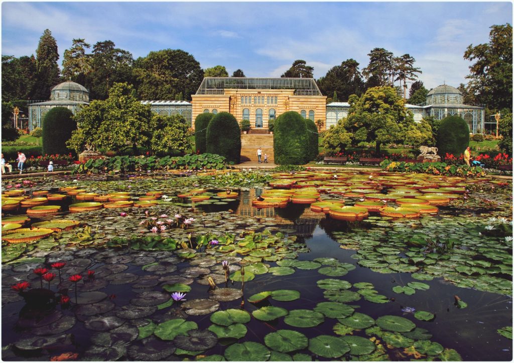 JARDIN BOTANIQUE WILHELMA ​