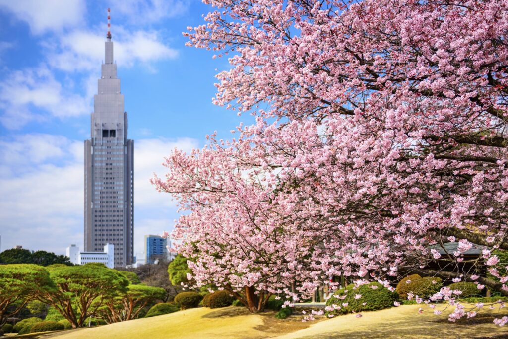 Que faire en une journée à Tokyo !