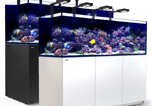 aquariums produits