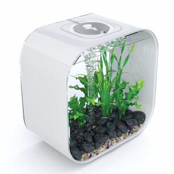 aquariums modernes