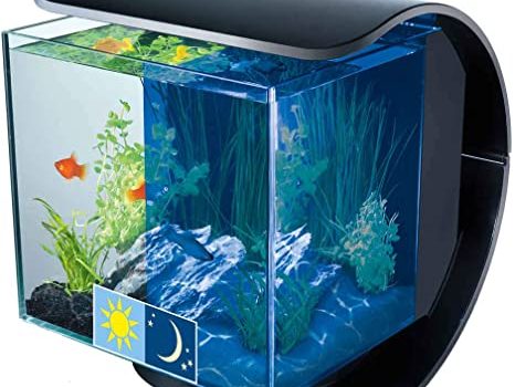 aquariums produits