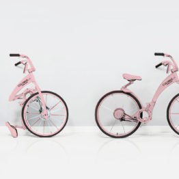 vélo adulte