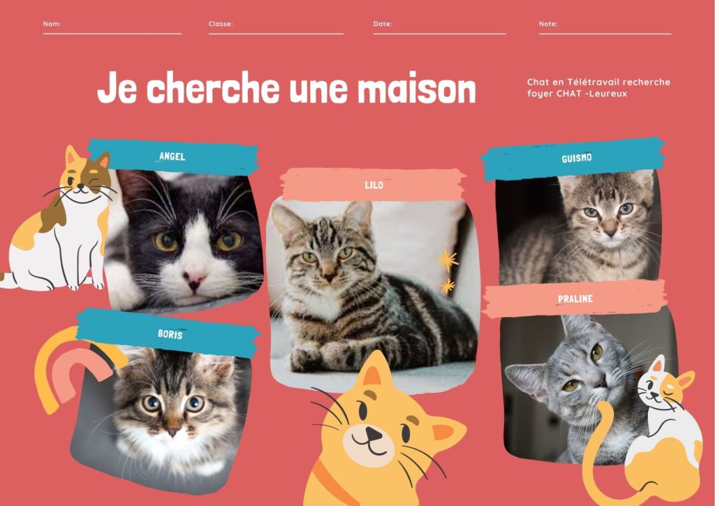 création du site Cha'lut