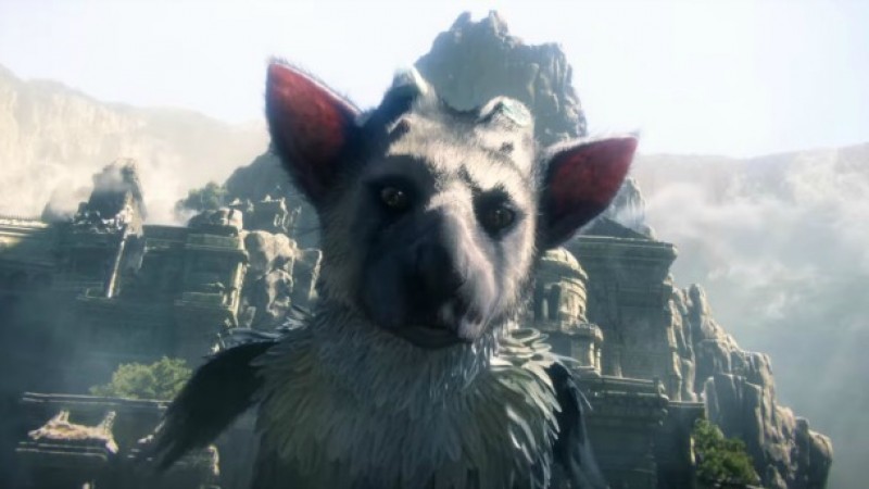 Trico