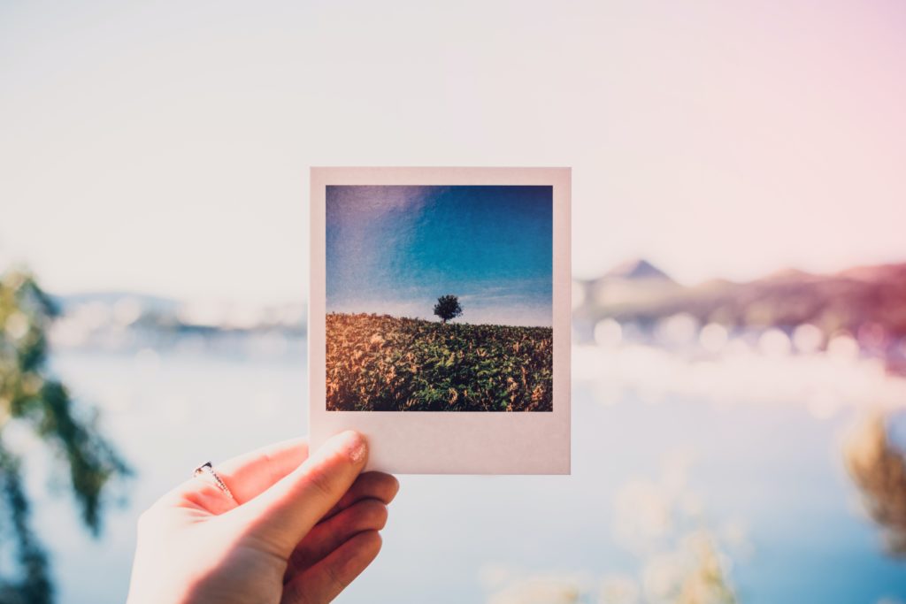 photo polaroid - polaa